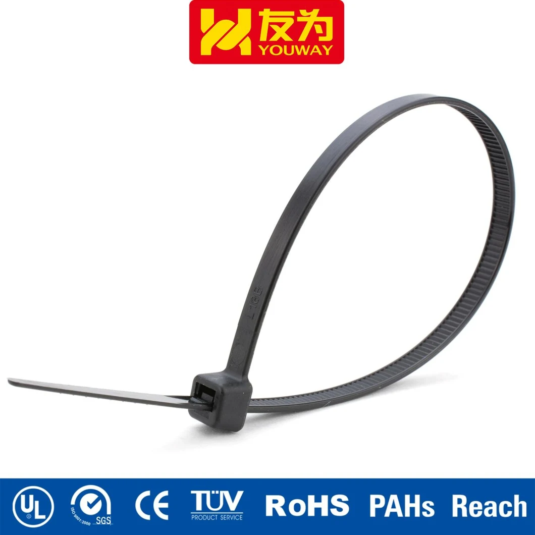 Self Locking Cable Tie for Industrial and Underground Application